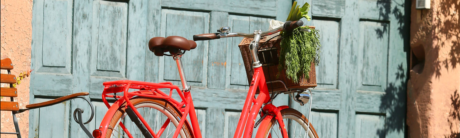 Fahrradkörbe & Halter online kaufen, Intersport Klöpping, Fahrräder und  Zubehör online kaufen